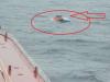 भारतीय नौका ने बचाई चार श्रीलंकाई मछुआरों की जान