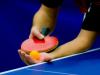 हल्द्वानी: 14 और 15 दिसंबर को होगी जनपद स्तरीय अंडर-14 टेबल टेनिस प्रतियोगिता, प्रतिभागियों को करना होगा पंजीकरण