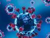 तेलंगाना: दो विदेशी नागरिक कोरोना वायरस के ओमीक्रोन स्वरूप से संक्रमित