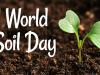 World Soil Day 2021: जानें विश्व मृदा दिवस का इतिहास, मिलकर बढ़ाएं मिट्टी की उत्पादकता