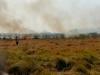 हरदोई: तेज हवा से जंगल में भड़की आग, बाल-बाल बचा लाखों का सोलर प्लांट…