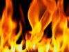 बिजनौर : पशुशाला में आग लगने से गोवंश की जलकर मौत