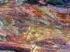 ऑस्ट्रेलिया के पिलबारा में मिली पृथ्वी की सबसे पुरानी चट्टानें, जानें ये खास बातें