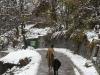 भारी हिमपात से कश्मीर में जनजीवन बाधित