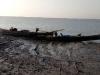 गुजरात: BSF ने कच्छ के पास नौ पाकिस्तानी नौकाओं को किया जब्त, खाड़ी क्षेत्र में तलाश अभियान शुरू