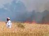 उन्नाव: हाईटेंशन लाइन की चिंगारी से खेत में लगी आग, गेहूं की साढ़े छह बीघा फसल जलकर हुई राख