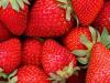 बुलंदशहर: एकीकृत बागवानी योजना के तहत स्ट्रॉबेरी की खेती को प्रोत्साहन