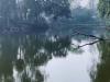 लखनऊ: बटलर पैलेस तालाब में मरीं मछलियां, नगर आयुक्त ने सफाई अभियान चलाने के दिए निर्देश