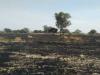 फतेहपुर में दिखा आग का तांडव, 30 बीघा फसल जलकर हुई राख