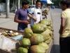 बरेली: किला में हर तीसरे दिन बेंगलुरू से उतर रहे नारियल