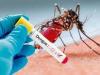 बरेली: मलेरिया का दंश मिटाने को 3200 आशाएं घर-घर देंगी दस्तक