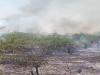 रायबरेली में आग की घटनाओं पर नहीं लग रहा विराम, तीन बीघे फसल व जंगल जलकर हुए राख!