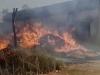 बहराइच: अज्ञात कारणों से लगी आग, 11 मकान और गेहूं की फसल जलकर राख