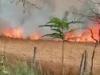 बहराइच: एचटी लाइन की चिंगारी से खेत में लगी आग, सैकड़ों बीघा गेंहू की फसल जली