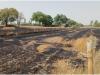 रायबरेली: खेत में लगी आग, पांच बीघा फसल जलकर हुई राख