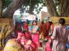 बाराबंकी: महिलाओं ने रखा वट सावित्री का व्रत, बरगद और पीपल की फेरी लगाकर की पूजा-अर्चना