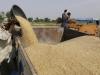 बरेली: केंद्रों तक नहीं पहुंचे तो किसानों के घर से गेहूं खरीद की तैयारी