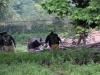 जम्मू-कश्मीर मुठभेड़ में ‘लश्कर-ए-तैयबा’ के चार आतंकवादी ढ़ेर