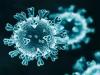 दक्षिण अफ्रीका कोविड-19 महामारी के एक नए चरण में पहुंचा: इसका तात्पर्य क्या है?