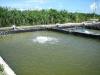 बरेली: मछली पालन के लिए 16 हेक्टेयर में होगा तालाब का निर्माण