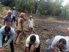 जौनपुर में 2175 किसान बांस की करेंगे खेती : उपायुक्त मनरेगा भूपेंद्र सिंह