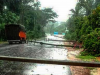 हल्द्वानी: तेज आंधी और बारिश के कारण हाईटेंशन लाइनों को भी पहुंचा नुकसान, पोल उखड़े