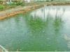 अयोध्या: पोखर-तालाबों पर रहेगी सरकार की सीधी नजर, पोर्टल पर लोड होगा ब्यौरा