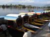 जम्मू-कश्मीर: इंसानियत की पेश की मिसाल, डल झील में डूबती हाउसबोट के मालिक ने 7 पर्यटकों की बचाई जान
