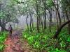 बरेली: पर्यावरण दिवस पर यूपीएससी परीक्षा में ड्यूटी करेंगे वन रेंजर