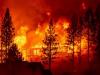 अमेरिका : फ्लैगस्टाफ के जंगल में लगी आग, क्षेत्र से निकाले गए स्थानीय लोग