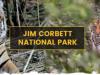उत्तराखंड : 30 जून से बंद हो जाएगा कार्बेट नेशनल पार्क, 15 नवंबर से फिर शुरू होगी सफारी