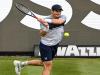 Stuttgart Open Tennis Tournament: मर्रे की स्टुटगार्ट ओपन के पहले दौर में आसान जीत