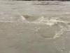 हरदोई: नहाते समय नदी में डूबी युवती, खोजबीन में लगे गोताखोर