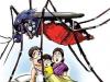 हल्द्वानी: डेंगू-मलेरिया को लेकर स्वास्थ्य विभाग अलर्ट