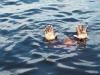छत्तीसगढ़ : तालाब में नहाने के दौरान हादसा, पोता-पोती समेत दादी की मौत