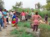 बदायूं: करंट की चपेट में आने से फिर हुई बैल की मौत, ग्रामीणों में आक्रोश