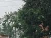 गोरखपुर : बारिश से सुहाना हुआ मौसम, किसानों को होगा फायदा