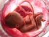 हल्द्वानी: गर्भ में पल रहे बच्चे संग नाबालिग नेपालन ने लगाई थी फांसी