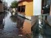 बहराइच: घसियारीपुरा मोहल्ले में बिना बारिश भरा पानी, नगर पालिका अध्यक्ष और ईओ का नहीं जा रहा ध्यान