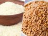 बरेली: गेहूं और चावल अब मुफ्त नहीं, चुकानी होगी कीमत, आदेश जारी