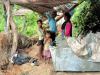 बहराइच: आम्बा गांव में हाथी ने आज फिर ढहाए तीन घर, भगाते समय चोटिल हुईं महिलाएं