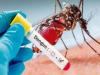 लखनऊ: डेंगू का कहर जारी, हर दिन मिल रहे इतने मरीज, सतर्कता जरूरी