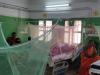 बरेली: 21 स्थानों पर मिला जानलेवा डेंगू का लार्वा, नगर स्वास्थ्य अधिकारी ने गठित की टीमें