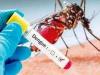बाराबंकी: हैदरगढ़ के कई वार्डों में फैला डेंगू, दर्जनों बीमार