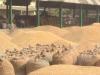 अयोध्या: मंडल में बाराबंकी के किसान अव्वल, अयोध्या तीसरे पायदान पर
