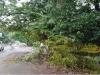लखनऊ: गरज के साथ बारिश ने मचाई तबाही, बिजली गुल, कई जगह गिरे पेड़