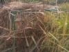 तेंदुए की दशहत : खेत में वनविभाग की टीम ने लगाया पिंजड़ा