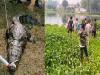 बहराइच : रामलीला मैदान में डेरा जमाए मगरमच्छ को वन विभाग ने पकड़ा, बबई नाला में छोड़ा