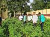 सब्जियों का उत्पादन : कृषि विश्वविद्यालय के छात्रों को मिलेगी स्वस्थ थाली