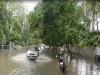 डीएम का निर्देश : भारी बारिश के चलते जिले में कल से बंद रहेंगे स्कूल